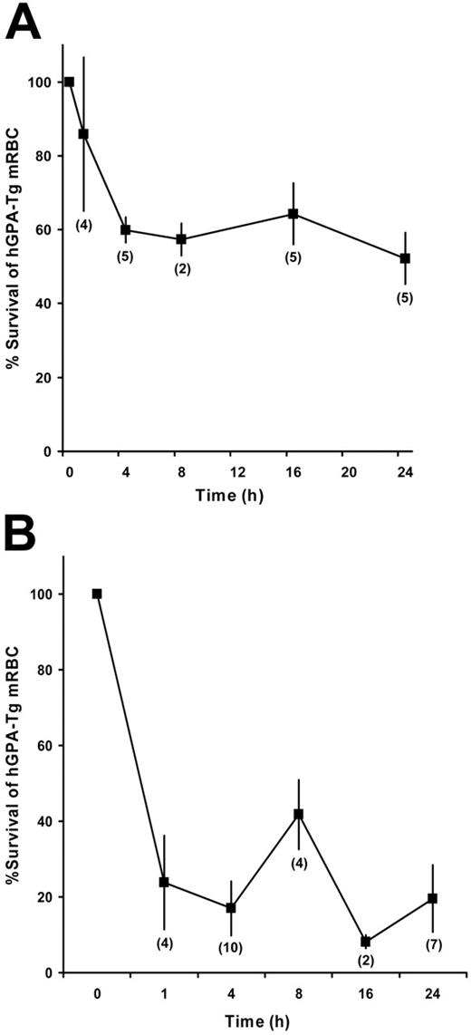 Figure 4. IgG-mediated clearance of incompatible hGPA-Tg-mRBCs: time-course studies. Wild-type FVB/NJ mice were passively immunized intraperitoneally with 500 μg of the purified 10F7 anti–hGPA IgG1 mAb (A) or with 50 μg of the purified NaM10-2H12 anti–hGPA IgG3 mAb (B). Sixteen hours later they were transfused with 51Cr-labeled hGPA-Tg-mRBCs, and then RBC survival was quantified at the indicated time points. The number of mice evaluated at each time point is indicated in parentheses; the mean ± 1 SD is provided for each time point.