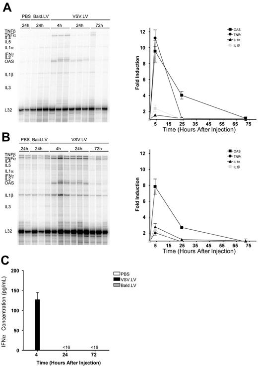 Figure 2. Monitoring the innate immune response following in vivo LV administration. Balb/c mice were treated with 10 μg of LV via intravenous injection. The cytokine profile of the liver (A) and spleen (B) was measured by RPA at the indicated times. Three mice per group are shown. Quantitative phosphor imaging analysis of the RPA was carried out, and the results are presented as the means ± SEM. All samples were normalize to L32 and presented as fold induction compared with PBS-treated controls. ▪ indicates OAS; •, TNF-α; ▴, IL-1α; and ⊡, IL-1β. (C) Circulating IFNα levels. Serum samples were analyzed at the indicated time for IFNα expression by ELISA. Values are presented as the means ± SEM for 3 mice per group.