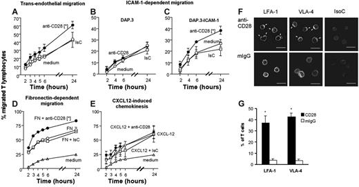 Figure 1. CD28 triggering enhances integrin-mediated T-cell migration. (A-C) Percentage of T-cell blasts (5 × 105/well) migrated at the indicated time points through endothelium (A), DAP.3 (B), or DAP.3–ICAM-1 (C) monolayers, fibronectin (D), or to a gradient of CXCL-12 (E) following CD28 triggering. The average percentage (±SE) of migrated T cells at the specified time points in 3 experiments with similar design is shown. (F) LFA-1 and VLA-4 clustering on the T-cell surface following CD28 triggering (indicated by arrows). Scale bar: 20 μm. (G) Mean percentage of T cells displaying polarized LFA-1 and VLA-4 aggregates in 300 cells from each sample in 3 independent experiments ± SD. (A) *P < .05 at all time points except 5 hours; (C) *P < .006; (D) *P < .002; (G) *P < .001.