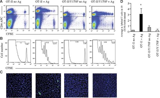 Figure 3. OT-II/CD28Y170F T cells display normal antigen-driven expansion but defective localization to antigenic sites following priming in vivo. (A-B) CFSE-labeled OT-II and OT-II/Y170F CD4+ T cells detected in draining (mesenteric) lymph nodes after immunization with OVA323-339 peptide and LPS (cells are gated based on CD4 expression). (C-D) Localization of CFSE-labeled T cells 96 hours after immunization in the peritoneal membrane of mice that received an intraperitoneal injection of LPS and IFNγ only (No Ag) or that had been also injected with OVA323-339 peptide 48 hours later (+ Ag; scale bar: 40 μm). Panel D represents data averaged from at least 3 animals, and standard error bars are shown. *P < .03.
