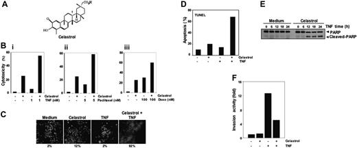 Figure 1. Celastrol and its effects. (A) Structure of triterpene, celastrol. (Bi-iii) Celastrol enhances TNF- and chemotherapeutic agent-induced cytotoxicity. In total, 10 000 cells were seeded in triplicate in 96-well plates. The cells were pretreated with 2.5 μM celastrol and then incubated with the indicated concentrations of TNF, paclitaxel, and doxorubicin for 24 hours. Cell viability was analyzed by the MTT method as described in “Materials and methods.” (C) Celastrol potentiates TNF-induced apoptosis. KBM-5 cells were pretreated with 2.5 μM celastrol for 6 hours and then incubated with 1 nM TNF for 16 hours. The cells were stained with a live/dead assay reagent for 30 minutes and then analyzed under a fluorescence microscope as described in “Materials and methods.” The results shown are representative of 3 independent experiments. (D) Cells were pretreated with 2.5 μM celastrol for 6 hours and then incubated with 1 nM TNF for 16 hours. Cells were fixed, stained with TUNEL assay reagent, and then analyzed with a flow cytometer for apoptotic effects. The results shown are representative of 2 independent experiments. (E) Cells were pretreated with 2.5 μM celastrol for 6 hours and then incubated with 1 nM TNF for the indicated times. Whole-cell extracts were prepared and analyzed by Western blotting using an anti-PARP antibody. The results shown are representative of 3 independent experiments. (F) Celastrol suppresses TNF-induced invasion activity. H1299 cells (2.5 × 104 cells) were seeded to the top chamber of a Matrigel invasion chamber system overnight in the absence of serum and then treated with celastrol. After incubation, the cells were treated with TNF in the presence of 1% serum and then assayed for invasion as described in “Materials and methods.” Results are expressed as fold activity of the untreated control.