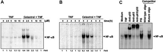 Figure 3. Celastrol blocks NF-κB activation induced by TNF in a dose- and time-dependent manner. (A) KBM-5 cells were incubated with the indicated concentrations of celastrol for 6 hours and then treated with 0.1 nM TNF for 30 minutes. The nuclear extracts were assayed for NF-κB activation by EMSA. The results shown are representative of 3 independent experiments. (B) KBM-5 cells were preincubated with 5 μM celastrol for the indicated times and then treated with 0.1 nM TNF for 30 minutes. The nuclear extracts were prepared and assayed for NF-κB activation by EMSA. The results shown are representative of 3 independent experiments. (C) NF-κB induced by TNF is composed of p65 and p50 subunits. Nuclear extracts from untreated cells or cells treated with 0.1 nM TNF were incubated with the indicated antibodies, an unlabeled NF-κB oligoprobe, or a mutant oligoprobe. They were then assayed for NF-κB activation by EMSA.
