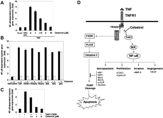 Figure 6. Effects of celastrol on gene expression. (A) Celastrol inhibits TNF-induced NF-κB–dependent reporter gene (SEAP) expression. A293 cells were transiently transfected with an NF-κB–containing plasmid linked to the SEAP gene and then treated with the indicated concentrations of celastrol. After 24 hours in culture with 1 nM TNF, cell supernatants were collected and assayed for SEAP activity as described in “Materials and methods.” Results are expressed as fold activity over the activity of the vector control. (B) Celastrol inhibits NF-κB–dependent reporter gene expression induced by TNFR, TRADD, TRAF, NIK, IKKβ, and p65. A293 cells were transiently transfected with the indicated plasmids along with an NF-κB–containing plasmid linked to the SEAP gene and then left either untreated or treated with 2.5 μM celastrol for 6 hours. Cell supernatants were assayed for secreted alkaline phosphatase activity as described in “Materials and methods.” Results are expressed as fold activity over the activity of the vector control. Bars indicate standard deviation. (C) Celastrol suppresses TAK1/TAB1-induced NF-κB activation. A293 cells were transiently transfected with a TAK1/TAB1 expression plasmid along with NF-κB–containing plasmid. After 24 hours, cells were treated with indicated concentrations of celastrol and incubated with the relevant plasmid for an additional 6 hours. The supernatants of the culture medium were assayed for SEAP activity as described in “Materials and methods.” The results shown are representative of 3 independent experiments. (D) A schematic diagram of the effect of celastrol on TNF-induced NF-κB activation and apoptosis.