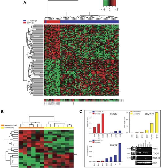 Figure 5. IGHV3-21–associated gene expression profiles in CLL. (A) Heat map generated with 122 probes found to be differentially expressed between IGHV3-21 patients (red bar under the tree) and non–IGHV3-21 patients (blue bar) by supervised analyses (Supplemental Materials). The color scale identifies relative gene expression changes normalized by the SD of 1 with 0 representing the mean expression level of a given gene. Expression for the 2 probes for the IGLV3-21(Vλ2-14) gene is reported below the heat map (location of these probes in the heat map is indicated by dashes); results of IGV light chain rearrangements, when available (ie, for all IGHV3-21 cases and 1 non–IGHV3-21 CLL), are reported below the corresponding hybridization spot. Location in the heat map of the VIPR1 and TGFβ2 genes are indicated by 1 and 2 asterisks, respectively. (B) Heat map generated with 20 genes found to be differentially expressed between homHCDR3–IGHV3-21 cases (yellow bar under the tree) and nonhomHCDR3–IGHV3-21 cases (orange bar) by supervised analyses (see “Materials and methods”). Location in the heat map of the WNT-16 gene is indicated by 3 asterisks. (C) Validation of microarray results by QRT-PCR. Three representative genes were selected to validate microarray results by QRT-PCR: VIPR1 and TGFβ2 were chosen to characterize non–IGHV3-21 versus IGHV3-21 CLLs (13 total cases), while WNT-16 was chosen among the genes differentially expressed by homHCDR3–IGHV3-21 and nonhomHCDR3–IGHV3-21 cases (6 cases). The incorporation of the SYBR Green dye into the PCR products was monitored in real time, and the resulting threshold cycles (Ct) (ie, the PCR cycle number corresponding to the beginning of the exponential growth of PCR products) were computed. Ct values were converted into attomoles by means of QRT-PCR experiments carried out with serial dilution of known concentrations of VIPR1-, TGFβ2-, WNT-16–, and β2M-specific amplicons. Results for each CLL case represent the values of the relative expression levels of VIPR1/β2M and TGFβ2/β2M in IGHV3-21 cases (red bars) and non–IGHV3-21 cases (blue bars) and WNT-16/β2M in homHCDR3–IGHV3-21 cases (yellow bars) and nonhomHCDR3–IGHV3-21 VH3-21 cases (orange bars). The panel on the bottom right represents ethidium bromide–stained agarose gels showing the expression of VIPR1, TGFβ2, and WNT-16 by conventional RT-PCR in 8 cell lines and in 3 representative CLL cases (B338, B80, and B419). Asterisks refer to molecular weight markers.