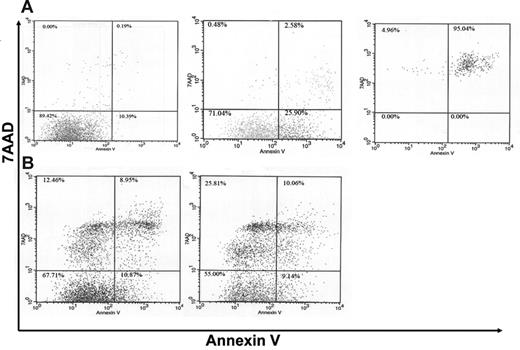 Figure 6. A higher percentage of apoptotic neutrophils is present in the BALF of G-CSFR−/− mice following P aeruginosa infection. (A) Neutrophils isolated from the bone marrow of wild-type mice were cultured for 48 hours under conditions that induced apoptosis (“Materials and methods”). Cells were harvested at the indicated times and stained for Gr-1, annexin V, and 7AAD. Whereas the majority of neutrophils is viable (annexin V−, 7AAD−) at time 0 (left panel), an increasing percentage of early apoptotic (annexin V+, 7AAD−) and then late apoptotic (annexin V+, 7AAD+) cells was seen with prolonged culture (middle panel, right panel). Histograms are gated for Gr-1+ (granulocytic) cells. (B) Representative dot plots of neutrophils recovered from the BALF of wild-type (left panel) and G-CSFR−/− (right panel) mice. Data are gated for Gr-1+ (granulocytic) cells.