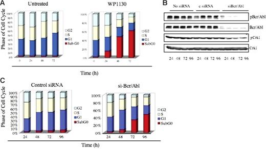 Figure 4. WP1130-induced apoptosis results from down-regulation of Bcr/Abl. (A) K562 cells (1 × 106) were incubated in medium with or without WP1130 (5 μM) for the indicated times, and cell-cycle distribution was determined by FACS analysis. (B). K562 cells were electroporated with either 100 nM scrambled siRNA (control) or 100 nM siRNA specifically targeting Bcr/Abl for the indicated times, and expression of Bcr/Abl, pBcr/Abl, pCrk1, and Crk1 was determined by Western blotting. The phosphorylation of CrkL was used as an indicator of Bcr/Abl activation. (C) FACS analysis of K562 cells electroporated with either 100 nM scrambled siRNA (control) or 100 nM siRNA specifically targeting Bcr/Abl for the indicated times.
