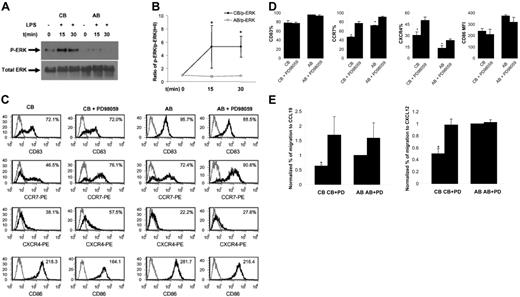 Figure 2. Comparison of LPS-induced ERK activation and effects of ERK inhibitor on LPS-induced changes in phenotype, chemokine receptor expression, and chemotaxis between CB and AB DCs. (A) LPS induced p-ERK in CB but not AB DCs. One representative of Western blotting data was shown. CB and AB DCs were either not treated (as a control) or treated side by side for 15 minutes and 30 minutes with LPS. Cell lysate was subjected to Western blotting using Abs specific for p-ERK. PVDF membranes were stripped and reprobed with Abs for total ERK as a loading control. (B) Average density of p-ERK band of CB and AB DCs plus or minus SEM from 3 independent experiments as shown in panel A was presented. Density of individual p-ERK bands was calculated relative to that of unstimulated cells (defined as 1.0). (C) PD98059 significantly enhanced LPS-induced up-regulation of CCR7 and CXCR4, but not CD83 and CD86, on mature CB DCs. Cells were pretreated with or without PD98059 for 1 hour. LPS was then added directly into cell culture for 1 day. Cells were harvested and stained with indicated molecules (black histogram) or isotype controls (gray histogram). Expression levels of indicated molecules (percentage of positive cells for CD83, CCR7, and CXCR4, and MFI for CD86) are shown in the upper right corner. (D) Average expression levels plus or minus SEM of 3 to 4 experiments as shown in panel C were presented. (E) PD98059-pretreated mature CB DCs, but not mature AB DCs, functionally migrated at significantly enhanced levels to CCL19 and CXCL12, compared with nontreated cells. Mature CB and AB DCs pretreated with or without inhibitor were assayed side by side in Transwells for chemotaxis toward both CCL19 and CXCL12. The data represent the average level of chemotaxis plus or minus SEM from 3 independent experiments. To minimize sample variation, percentage of migration was calculated relative to percentage of migration of mature AB DCs (defined as 1.0).