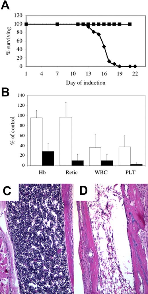 Figure 2. Abcb7 is essential for hematopoiesis. (A) Survival curve of newborn Abc7fl animals with or without MX1-Cre induced with pI-pC. (▪) −Cre, (♦) +Cre. (B) Peripheral blood parameters of animals shown in panel A at day 11 (□) and immediately before death (▪). Values represent the mutant value expressed as a percentage of the control value. Hb indicates hemoglobin; Retic; absolute reticulocyte count; WBC, white blood cells; PLT, platelets. Femoral bone marrow in 4-week-old Abcb7fl+/−Mx1-Cre case controlled animals induced with pI-pC. (C) −Cre, (D) +Cre. Note extreme hypocellularity in panel D.