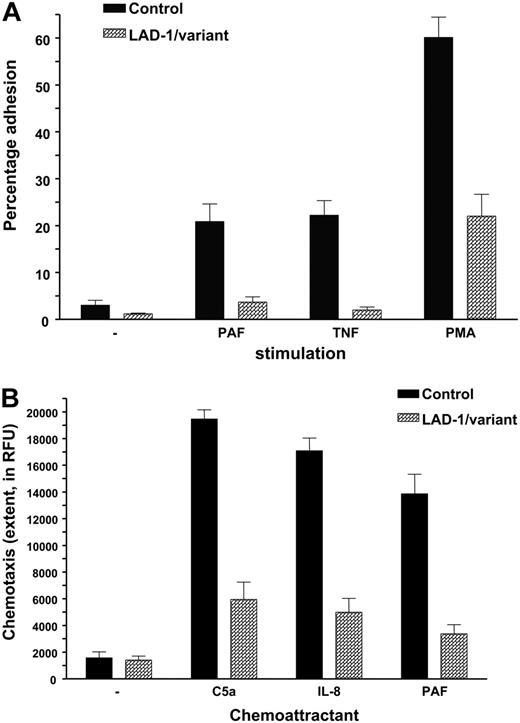 Figure 2. Neutrophil adhesion and chemotaxis in LAD-1/variant syndrome. (A) Neutrophil adhesion to fibronectin upon activation by various stimuli (n = 7 patients). Neutrophils were isolated from blood of (local) healthy individuals shipped in the same manner and are included as controls. (B) Neutrophil chemotaxis to various chemotactic factors. Data of 7 patients have been combined. Controls as in panel A. Data represents mean ± SD.