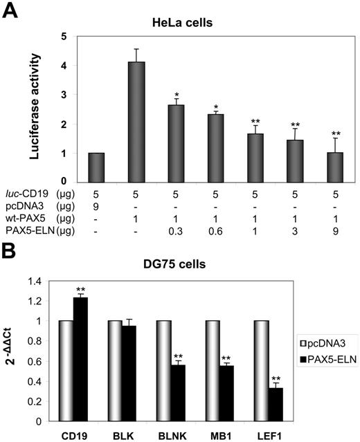 Figure 6. Repression of PAX5-dependent transactivation by PAX5-ELN. (A) The plasmids luc-CD19 (5 μg), pcDNA3-PAX5 (1 μg), and the reference pRL-CMV (0.4 μg; transfection efficiency control) were transfected together into HeLa cells with increasing amounts of pcDNA3-PAX5-ELN. The luc-CD19 plasmid contains 3 copies of the high-affinity PAX5-binding site of CD19 upstream of the TATA box and the luciferase gene. Luciferase activity in 3 independent transfection experiments was normalized to the measured Renilla activities and are shown as average values relative to the basal activity observed with pcDNA3 alone (results are mean ± SD; Student t test; *P < .05, **P < .01 compared with DG75 transfected with pcDNA3-PAX5, without PAX5-ELN). (B) DG75 cells were transfected with pcDNA3-PAX5-ELN and pmaxGFP. GFP-positive cells were sorted 24 hours after transfection. CD19, BLK, BLNK, MB1, and LEF1 mRNA levels were evaluated by RQ-PCR (Results are mean ± SD; Student t test: *P < .05, **P < .01).