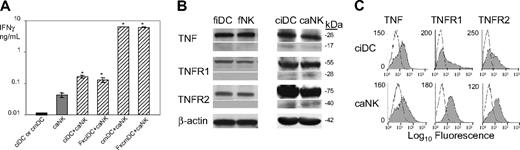 Figure 1. DCs stimulate NK-cell IFN-γ secretion via transmembrane but not secreted molecules, and DCs and NK cells express on cell-surface transmembrane TNF and TNFRs. (A) Secretion-deficient DCs mediate NK-cell IFN-γ secretion. Viable or paraformaldehyde-fixed ciDCs (ciDC and FxciDC, respectively) and 6-hour LPS-prestimulated viable or formaldehyde-fixed ciDCs (cmDC and FxcmDC, respectively) and viable caNK cells (caNK) were plated into 96-well plates either alone or together in a 1:1 ratio and incubated for 24 hours. Following the culture, cell-culture–conditioned media were assessed by IFN-γ ELISA. Data are from a representative experiment of 2 similar experiments performed. The results are means ± SD of triplicates IFN-γ nanograms per 0.5 × 106 cells per milliliter. Asterisks indicate significant increases in IFN-γ secretion in DC+NK-cell cocultures versus DC or NK-cell cultures alone. (B) Transmembrane but not soluble TNF, TNFR1, and TNFR2 are expressed in fiDCs, fNK cells, ciDCs, and caNK cells. Western blot analyses of the DC and NK-cell lysates were performed using 120 μg cell proteins per lane. Relative quantities of the proteins in the Western blotting bands were determined by densitometry. Protein bands are as follows: 26 kDa, tmTNF; 17 kDa, sTNF; 55 kDa, tmTNFR1; 28 kDa, sTNFR1; 75 kDa, tmTNFR2; 40 kDa, sTNFR2; and 42 kDa, β-actin. (C) TNF, TNFR1, and TNFR2 are expressed on cell surface of ciDCs and caNK cells. Flow cytometry analyses of viable ciDCs and caNK cells were performed. The results are log10 fluorescence intensity obtained with isotype-matched nonreactive control antibodies (open histograms) and specific antibodies (filled histograms).