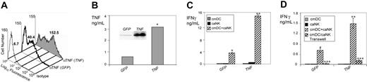 Figure 4. Increases in expression of tmTNF induced by TNF gene transfer augment the ability of DCs to induce IFN-γ secretion by NK cells. (A) Transfer of Tnf results in increases in cell-surface expression of TNF on DCs. ciDCs were transduced with adenoviral vectors containing GFP (GFP) or wild-type Tnf (TNF) and stimulated with LPS for 6 hours, stained with isotype control mAb (isotype) and anti-TNF mAb (αTNF), and examined by flow cytometry. The numbers adjacent to histograms are MFI. (B) Transfer of Tnf results in increases in expression of tmTNF in ciDCs. Lysates of the GFP- or Tnf-transduced ciDCs were assessed for TNF using Western blot (inset) and ELISA (columns). Data are from one experiment. Western blot shows the 26 kDa tmTNF. The 17 kDa sTNF was 15-fold less expressed than tmTNF (data not shown). ELISA data are means of triplicates TNF nanograms per 0.5 × 106 cells per milliliter. (C) Transfer of Tnf leads to high increases in the ability of ciDCs to induce IFN-γ secretion by caNK cells. GFP- or Tnf-transduced ciDCs (cmDC) and untreated caNK cells (caNK) were cultured either alone or together (cmDC+caNK) in the presence of LPS for 24 hours. After this incubation, the cell-culture–conditioned media were assessed using IFN-γ ELISA. Data are from one experiment and represent means ± SD of triplicates IFN-γ nanograms per 0.5 × 106 cells per milliliter. (D) Tnf- transduced wild-type ciDCs are only capable of efficiently inducing secretion of IFN-γ in wild-type caNK cells in cell-cell contact but not physically separated. GFP- or Tnf-transduced ciDCs (cmDC) and untreated caNK cells (caNK) were cultured in the presence of 200 ng/mL LPS for 24 hours either alone or together in standard wells (cmDC+caNK) or physically separated in Transwells (cmDC/caNK Transwell). After this incubation, the cell-culture–conditioned media were assessed using IFN-γ ELISA. Data are from an experiment and represent means ± SD of triplicates IFN-γ nanograms per 0.5 × 106 cells per milliliter. In panel B, the single asterisk indicates a significant increase of cell-associated TNF in ciDCs transduced with Tnf compared with ciDCs transduced with GFP. In panels C and D, single asterisks indicate a significant increase in IFN-γ in cocultures of GFP-transduced cmDCs+caNK cells versus cultures of cmDCs or caNK cells alone. Double asterisks indicate a significant enhancement of IFN-γ in cocultures of TNF-transduced cmDCs+caNK cells versus cocultures of GFP-transduced cmDCs+caNK cells. Triple asterisks indicate significant decreases of IFN-γ in cocultures of cmDC/caNK cells separated by Transwell membrane versus cmDC+caNK-cell cocultures without separation.