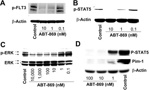 Figure 2. ABT-869 inhibits phosphorylation of FLT3, STAT5, and ERK in MV-411 cells. MV-4-11 cells were cultured in the presence of varying concentrations of ABT-869 or vehicle control (0.1% DMSO) for 2 hours. Cells were lysed and lysates analyzed by Western blot using (A) anti–phospho-FLT3, (B) anti–phospho-STAT5, (C) anti–phospho-ERK for MV-4-11 cells, and (D) anti–phospho-STAT5 and anti–Pim-1 for MOLM-13 cells. For cell culture, β-actin was used as the load control for FLT3 and STAT5, whereas total ERK was used for ERK. The results from at least 2 independent experiments demonstrate similar inhibition of FLT3, STAT5, and ERK phosphorylation with ABT-869, a representative blot is shown.