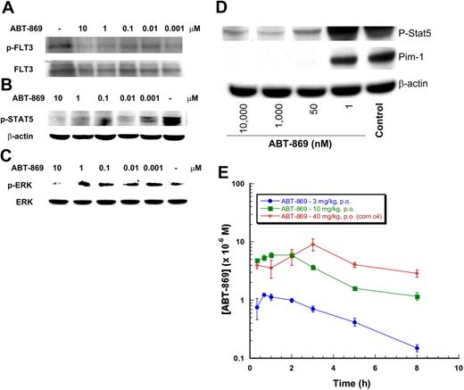 Figure 4. ABT-869 inhibits phosphorylation of FLT3, STAT5, and ERK in the human blood AML model. MV-4-11 cells were spiked into normal human blood, 1 × 107 cells/mL, and treated with varying concentrations of ABT-869 for 2 hours. For FLT3 phosphorylation (A), blood was lysed and the FLT3 was immunoprecipitated from 1 mL of lysate with anti-FLT3 (sc-480; 10 mg/mL) and analyzed by Western blot. The results from at least 3 independent experiments demonstrate similar inhibition of phosphorylation of FLT3 by ABT-869; a representative blot is shown. (B) STAT5 and (C) ERK phosphorylation was analyzed from PBMCs prepared from blood treated as described above. Phospho-STAT5 and -ERK were determined directly in cell lysates. (D) Phospho-STAT5 and Pim-1 expressions were analyzed from PBMCs prepared from blood treated as described in “Materials and methods,” with the exception of spiking with MOLM-13 cells. The results from 2 independent experiments demonstrate similar inhibition of the phosphorylation of STAT5 and ERK and decreased Pim-1 expression by ABT-869; a representative blot is shown. (E) Pharmacokinetic analysis of ABT-869 plasma concentration from orally dosed mice with 3 and 10 mg/kg/day in 2.5% ethanol, 5% Tween-80, and 25% PEG 400 in PBS, and the 40 mg/kg dose in pure refined corn oil. ABT-869 was analyzed from plasma that had been protein precipitated with acidified methanol and concentration determined using LC-MS as described in “Materials and methods.” Data are shown as μM ± SEM.