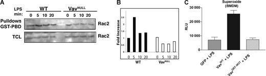 Figure 3. Vav regulates Rac2 activation in response to LPS, and Vav GEF activity is required for LPS-induced oxidative burst. (A) Vavnull and WT BMDMs were stimulated with LPS (10 μg/mL) for the indicated time points. Rac2 activation was assayed by pull-down of GTP-Rac2 from cell lysates with PBD-GST fusion protein, followed by Western blotting with antibodies specific to Rac2. Total cell lysates (TCLs) were analyzed for Rac2 content by Western blotting. Densitometry was performed to quantitate GTP-bound Rac2 normalized to total Rac2. (B) Vavnull BMDMs were reconstituted by retroviral transduction with WT Vav1 (Vav1WT), a GEF-inactive Vav1 (Vav1GEF-MUT), or GFP control vector. Cells were stimulated with LPS (10 μg/mL), and oxidative burst was determined by lucigenin chemiluminescence. Data represent the mean ± SEM RLU measured at 15 minutes for triplicate samples. Results are representative of 3 independent experiments.