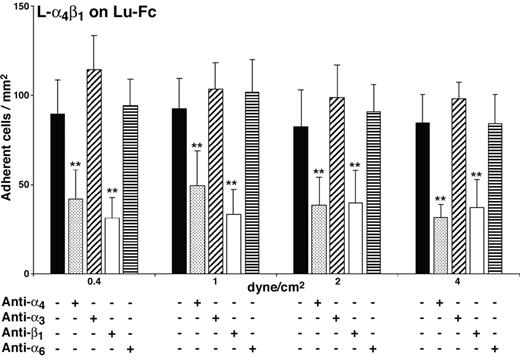 Figure 3. Adhesion of L-α4β1 cells to Lu-Fc is specifically inhibited by anti-α4β1 antibodies. L-α4β1 cells (107 cells/mL) were either untreated or incubated with 10 μg/mL blocking antibodies anti–integrin α4 (HP2/1) or anti–integrin β1 (mAb 13), or isotype-matched control antibodies anti–integrin α3 (ASC-1) or anti–integrin α6 (GoH3) for 15 minutes, then injected into a Lu-Fc–coated microslide (0.3 mg/mL) for 10 minutes at 0.2 dyne/cm2. Washouts (5 minutes) were applied sequentially from 0.4 to 4 dyne/cm2, and cells were counted in 6 different areas along the microslide centerline after each wash (**P < .01). Error bars represent SD.