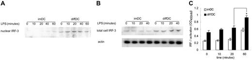 Figure 3. Increased expression and activation of IRF-3 in diffDCs. (A) Nuclear extracts from imDCs and diffDCs (1 × 106 cells/mL) cultured in medium alone or stimulated with 500 ng/mL LPS for 10, 20, 40, or 60 minutes were prepared, blotted, and probed with IRF-3–specific antibody. (B) imDCs and diffDCs were cultured in medium alone as control or stimulated with 500 ng/mL LPS for the indicated times. Total cell extracts were probed for IRF-3 and actin as a loading control. (C) Quantification of activated IRF-3 in imDCs and diffDCs after LPS stimulation by assaying IRF-3 DNA-binding activity. Data are shown as means ± SD of 3 independent experiments. *P < .05.