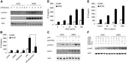 Figure 4. IFN-β–induced STAT1 activation is responsible for the increased IP-10 production in diffDCs. (A) imDCs and diffDCs were stimulated with or without 500 ng/mL LPS for the indicated time. Total cell lysates were then electrophoresed and probed with phospho-STAT1 and STAT1, respectively. Actin expression was used as control to confirm that equal amounts of protein lysates were in each lane. (B) imDCs and diffDCs were pretreated with 50 μM fludarabine (STAT1 inhibitor) for 30 minutes, then stimulated with 500 ng/mL LPS for 24 hours. An equal amount of DMSO contained in medium was used as a negative control. The levels of IP-10 in the supernatants were determined by ELISA. *P < .05. (C) Effect of neutralizing antibody against mouse IFN-β on the phosphorylation of STAT1 in imDCs and diffDCs stimulated with or without LPS. imDCs and diffDCs were pretreated with 12.5 μg/mL neutralizing antibody of IFN-β for 30 minutes, then stimulated with 500 ng/mL LPS for 2 hours. The activation of STAT1 was analyzed by Western blotting. imDCs and diffDCs in medium alone and treated with IFN-β antibody were used as controls. (D-E) DCs were stimulated with various doses of recombinant mIFN-β or IFN-α for 24 hours. Then the level of IP-10 in the supernatants was determined by ELISA. Data are shown as means ± SD of 3 independent experiments. Each experiment was preformed at least 3 times. (F) imDCs and diffDCs were stimulated for 2 hours with or without 100 ng/mL LPS, CpG ODN, LTA, poly(I:C), or HSP70. Phosphorylation of STAT1 in cell lysates was analyzed by Western blotting. Actin expression was used as control to confirm that equal amounts of protein lysates were in each lane.