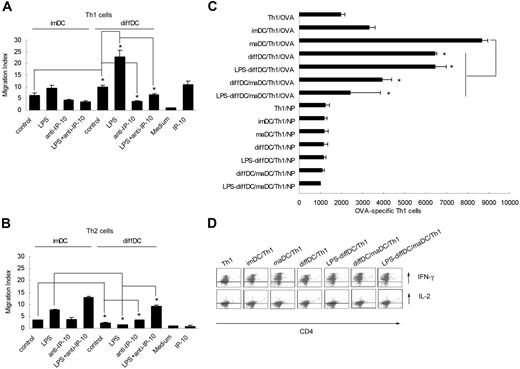 Figure 5. diffDCs preferentially chemoattract Th1 via autocrine IP-10 in vitro. imDCs and diffDCs (1 × 106 cells/mL) cultured in medium alone or stimulated with 500 ng/mL LPS for 24 hours. Then IP-10–neutralizing antibody was incubated with the conditioned supernatant of diffDCs for 30 minutes. The supernatant was 10-fold diluted and used to chemoattract the Th1 or Th2 cells stained with CD4-FITC in 3.0-μm pore size transwell insert at 37°C. After 2 hours, Th1 (A) or Th2 (B) cells that had migrated into wells were harvested and counted by FACSCalibur flow cytometer and analyzed by CellQuest software. The results are expressed as migration index (number of cells that migrated in response to IP-10/number of cells that migrated in response to medium alone). *P < .05. (C) diffDCs inhibit Th1 cell proliferation. Purified CD4+ Th1 cells were cocultured with diffDCs as indicated in the presence of OVA323-339 peptide at a 1:10 (DC/T) ratio in round-bottom 96-well plates for 5 days. Then cells were collected and double stained with anti–CD4-FITC and 7-AAD and counted by FACS. Data are shown as mean ± SD of 3 independent experiments. (D) diffDCs sustain the intracellular expression of IL-2 and IFN-γ in Th1 cells. Purified CD4+ Th1 cells were cocultured with maDCs or diffDCs (LPS treated or not) in the presence of OVA peptides and brefeldin A for 24 hours. Intracellular expression of IL-2 and IFN-γ in Th1 cells was detected by flow cytometry (cytokine and CD4 double staining).