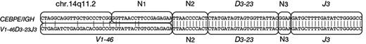 Figure 4. Sequence analysis of patient E3. One of 2 VDJ rearrangements in patient E3 comprised V1-46, D3-23, and J3, whereas the breakpoint region of the CEBPE/IGH fusion is a nucleotide sequence from chr.14q11.2, and the same DJ including some N segments (N2 and N3). N represents nucleotides of unknown origin.