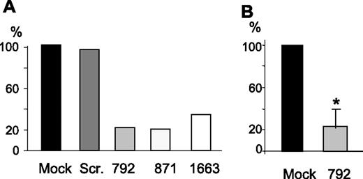 Figure 1. Efficiency of ABCB7 siRNAs. HeLa cells were transfected with 100 pmol of the indicated siRNAs, and the level of ABCB7 mRNA was quantified by real-time RT-PCR. The results are expressed as percentage of the control mock-transfected cells. (A) The siRNAs coded 792, 871, and 1663 were obtained by in vitro transcription and the HeLa cells analyzed 48 hours after transfection. (B) The siRNA 792 was produced by chemical synthesis and used in 2 rounds of transfection, and the cells were analyzed 48 hours after the second transfection. Mean and SD of 4 experiments. Scr indicates scrambled siRNA. *Significant difference (P < .05).