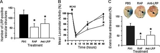 Figure 4. Effect of RAP or anti-LRP antibodies on the shedding of LRPs ectodomain, locomotor activity, and cerebral edema following MCAO. (A) Number of LRP-positive vascular structures in the 3 areas of interest in the ischemic hemisphere of wild-type animals 24 hours after MCAO and treatment with either PBS, the receptor-associated protein (RAP), or goat anti-LRP IgG. Error bars describe standard error of the mean; n = 6; *P < .05 relative to the PBS-treated group. (B) Mean locomotor activity at 6, 24, and 48 hours after MCAO and the intraventricular administration of either PBS (○), RAP (▪), or goat anti-LRP IgG (▵). Error bars describe standard error of the mean; n = 6; *P < .05 when RAP- and LRP-treated animals are compared with PBS-treated mice. (C) Evans blue dye extravasation in the same group of animals of panel B, 48 hours after MCAO. Error bars describe standard error of the mean; n = 6; *P < .05 relative to PBS-injected brains. The pictures correspond to one representative brain in each experimental group. The blue staining is apparent in areas with increase in blood-brain barrier permeability (arrows).