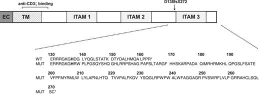 Figure 5. Diagram of patient CD3ζ mutation. The extracellular (EC), transmembrane (TM), and 3 intracellular ITAMs of wild-type CD3ζ protein are depicted along with the location of the homozygous patient mutation and the recognition site of the anti-CD3ζ Ab used in the present study. Wild-type (WT) and patient (MUT) CD3ζ amino acid sequences in the region affected by the mutation are shown in the expanded view. X indicates stop codon; and fs, frameshift.