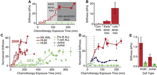 Figure 2. Stiffness of leukemic cells increases with progression of cell death and is attenuated by disruption of the actin cytoskeleton. (A) A typical stiffness trace of a single M5 AML cell exposed to 1 μM daunorubicin (red circles). The apparent stiffness of a typical control cell remains relatively constant (green triangles) and does not undergo apoptosis or cell death during the course of the experiment. Error bars represent standard error. (B) From the same patient sample, the average apparent stiffness of a population of late apoptotic/dead AML cells was significantly stiffer than early apoptotic cells and controls (n = 15, P < .05). (C) Cell stiffness increases faster with 1 μM daunorubicin (DNR, in red) than 1 μM dexamethasone (DEX, in green). Solid and dotted lines represent myeloid and lymphoid leukemia cells, respectively. Transition from open to filled shapes represent onset of cell death (PI-positive staining). (D) Exposure to 2 μM cytochalasin D, an actin polymerization inhibitor, reduces stiffening behavior in HL60 cells exposed to 1 μM daunorubicin. The cells represented by these 3 lines were exposed to daunorubicin at time 0 minutes. The cell represented by the green line was also exposed to cytochalasin D at time 0 minutes (vertical green dashed line) and exhibited little stiffening behavior. The cell represented by the blue line was exposed to cytochalasin D after 45 minutes (vertical blue dashed line) and exhibited little stiffening behavior after exposure. As a positive control, the cell represented by the red line was not exposed to cytochalasin D. (E) HL60 and Jurkat cells were incubated with 1 μM daunorubicin and 2 μM cytochalasin D. The average stiffness of dead HL60 cells (n = 15) exposed to daunorubicin and cytochalasin D (green) was 0.2 kPa ± 0.05 kPa, whereas the average stiffness of dead HL60 cells exposed to daunorubicin alone (red) was 1.2 kPa ± 0.3 kPa (P < .05). Likewise, the average stiffness of dead Jurkat cells (n = 15) exposed to daunorubicin and cytochalasin D (green) was 0.1 kPa ± 0.03 kPa, whereas the average stiffness of dead Jurkat cells exposed to daunorubicin alone (red) was 0.5 kPa ± 0.14 kPa (P < .05).
