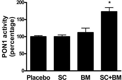 Figure 2. Effects of COX-1 inhibition, TP blockade, or a combination of both on serum activity levels of PON1. Compared with placebo, no significant difference was observed in LDLR KO mice fed a high-fat diet containing SC-560 or BM-573 for 12 weeks. By contrast, a statistically significant increase was found in mice receiving high-fat diet containing both drugs (*P < .01). Results are presented as mean ± SEM.