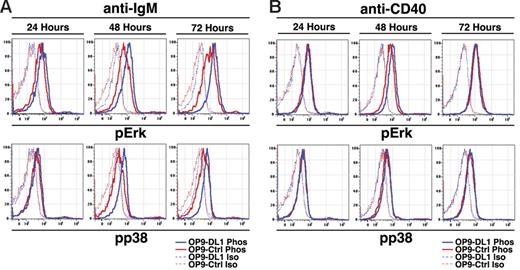Figure 3. DL1 signals enhance MAPK activation during BCR- and CD40-mediated proliferation. (A) FO B cells were stimulated with anti-IgM (12.5 μg/mL) for the indicated times and then analyzed for expression of phosphorylated Erk (pErk) or p38 (pp38). Dashed lines indicate isotype controls for phosphostaining, while solid lines indicate phosphostaining in cells cultured on OP9-Ctrl (red) or OP9-DL1 (blue) cells. Results are representative of 3 independent experiments. (B) As in panel A, except that cells were stimulated with anti-CD40.