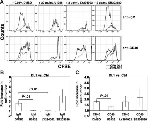 Figure 4. Inhibition of DL1-mediated BCR- and CD40-mediated proliferation. (A) FO B cells were labeled with CFSE and stimulated with either anti-IgM (12.5 μg/mL) or anti-CD40 in the presence of DMSO, U0126, LY294002, or SB203580 for 72 hours on OP9-DL1 (solid lines) or OP9-Ctrl (dashed lines) cultures. Results are representative of at least 3 independent experiments. (B) Histogram presents the fold increase in the number of B cells recovered from OP9-DL1 versus OP9-Ctrl cultures after 72 hours of the indicated treatment. Error bars represent SEM. For IgM+DMSO, n = 5; IgM+U0126, n = 4; IgM+LY294002, n = 3; IgM+SB203580, n = 5; CD40+DMSO, n = 4; CD40+U0126, n = 4; CD40+LY294002, n = 4; CD40+SB203580, n = 4.