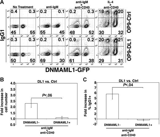 Figure 6. CSL is required for enhanced B-cell proliferation and production of IgG1+ cells in the presence of DL1 signals. (A) DNMAML1− and DNMAML1+ FO B cells were cultured together at a 1:1 ratio and stimulated as indicated for 72 hours. Results are representative of 3 independent experiments. (B) Histogram presents the fold increase in the number of DNMAML1− or DNMAML1+ B cells recovered from OP9-DL1 versus OP9-Ctrl cultures after 72 hours of anti-IgM + anti-CD40 treatment. Error bars represent SEM (n = 3). (C) Histogram presents the fold increase in the frequency of DNMAML1− or DNMAML1+ B cells recovered from OP9-DL1 versus OP9-Ctrl cultures after 72 hours of anti-IgM + anti-CD40 treatment. Error bars represent SEM (n = 3).