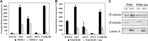 Figure 3. Methylation of Wnt inhibitors is associated with activation of Wnt-signaling pathway in ALL. (A-B) Expression of Wnt-signaling pathway genes before and after treatment with the demethylating agent 5-aza-2′-deoxycytidine (Aza) in comparison with healthy lymphocytes (normalized ratio = 100%) in TOM-1 (A) and NALM-20 (B) ALL-derived cell lines. The mean ± SD of 3 different experiments is shown. (C) Subcellular location of β-catenin in the ALL cell line TOM-1. β-Catenin is located preferentially in the nucleus indicating activation of the Wnt pathway in ALL. Treatment with 5-aza-2′-deoxycytidine decreases the nuclear location of β-catenin. A representative example of 3 experiments is shown.