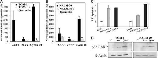Figure 5. Inhibition of the Wnt signaling by quercetin induces down-regulation of Wnt target genes and apoptosis of ALL cells. Expression of Wnt-signaling pathway genes before and after treatment with quercetin in TOM-1 (A) and NALM-20 (B) cell lines. Expression was normalized in comparison with healthy lymphocytes (Normalized ratio = 100%). The mean ± SD of 3 different experiments is shown. (C) Apoptosis of ALL cells was significantly higher after treatment with quercetin (P < .05). (D) Expression of PARP was increased after treatment with 5-aza-2′-deoxycytidine (Aza) and quercetin (Quer). A representative example of 3 experiments is shown.