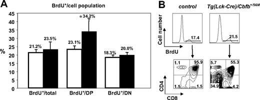Figure 3. BrdU incorporation by thymocytes in the Tg(Lck-Cre)/Cbfb+/56M mice. (A) Percentages of BrdU+ cells among total thymocytes, DP cells, and DN cells in the littermate control (□, n = 3) and the Tg(Lck-Cre)/Cbfb+/56M mice (▪, n = 6). *Only the difference in DP BrdU+ cells between the littermate control and the Tg(Lck-Cre)/Cbfb+/56M mice reached statistical significance (P = .05). (B) Distribution of BrdU+ cells relative to CD4 and CD8 expression.