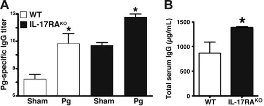 Figure 2. IgG titers are elevated in IL-17RAKO mice. (A) Sera from mice described in Figure 1 were analyzed for Pg-specific IgG in WT (□) and IL-17RAKO (▪) mice by ELISA.41 Standard deviations are shown. *Statistically significant differences in Pg-infected samples compared with sham-infected samples of the same strain, as determined by unpaired t test (P < .05). There was no significant difference between WT Pg-infected IgG and IL-17RAKO sham-infected IgG levels. (B) Total IgG levels in uninfected WT (□) and IL-17RAKO (▪) mice were determined in triplicate by ELISA. Standard deviations are shown. *Statistically significant difference compared with WT determined by unpaired t test (P < .05).