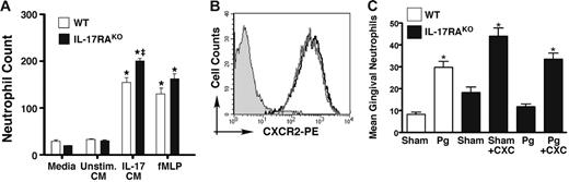 Figure 3. Characterization of IL-17RAKO neutrophils. (A) IL-17RAKO neutrophils show no migration defects ex vivo. As a source of chemokines, conditioned media (CM) was obtained from MC3T3-E1 cells stimulated with nothing (Unstim. CM) or 200 ng/mL IL-17 (IL-17 CM; contains > 39 ng/mL LIX; data not shown) for 24 hours (as described16). Bone marrow–derived Gr1+ cells from WT (□) or IL-17RAKO mice (▪) were incubated with media alone, with MC3T3-E1 CM, or with the chemotactic peptide fMLP (100 μM). Cells in the lower chambers were quantified in 10 random microscope fields, and standard deviations are shown. *Significant differences compared with unstimulated samples (P < .001); ‡significant difference between WT and IL-17RAKO mice for the same treatment condition (P < .01). (B) Normal CXCR2 levels in IL-17RAKO mice. Bone marrow from WT (black) or IL-17RAKO (gray) mice was stained with Abs to Gr1 and CXCR2. Cells were gated on the Gr1+ population, and the profile of CXCR2 staining is shown compared with the isotype control. (C) Ectopically applied chemokines rescue neutrophil migration to gingiva in IL-17RAKO mice. WT and IL-17RAKO mice were anesthetized, and a mixture of LIX and Groα was applied adjacent to the maxillary first molars for 1 hour. Sagittal sections of maxillary tissue were stained with H&E, and neutrophils were assessed by counting in a randomized, blinded fashion. Standard deviations are shown. *Significant differences compared with sham-infected sample by unpaired t test (P < .05).