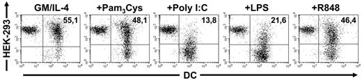 Figure 2. TLR-activated DCs differentially take up apoptotic cells. The ability of differentially stimulated DCs to take up apoptotic material was analyzed in coculture experiments. TLR3 (Poly I:C)– and TLR4 (LPS)–stimulated DCs are impaired in the phagocytosis of cellular material whereas TLR2 (Pam3Cys) and TLR7 (R848) activation do not significantly alter this property in comparison to immature DCs. Percentage of double-positive cells is shown in the upper right quadrant. The data shown are representative of 5 independent experiments.