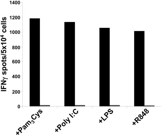 Figure 5. Exogenous loading of DCs with an HLA-A2–specific peptide results in equal stimulation of CTLs. TLR-stimulated DCs were exogenously pulsed with a pp65-derived (black columns) or HIV-derived (gray columns) HLA-A2–binding peptide, respectively, and were used as stimulators in IFN-γ ELIspot assays. Autologous HLA-A2–restricted pp65-peptide–specific CTLs were used as effectors. The data shown are representative of 5 independent experiments.