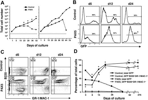 Figure 2. Generation of biphenotypic B220+GR-1/MAC-1+ cells on overexpression of PAX5 in LSK cells. (A) Control and PAX5-transduced LSK cells were cultured under myeloid conditions as described in “Materials and methods” and total (GFP+ and GFP− cells combined) cellular expansion was determined at different time points as indicated. Dashed and solid lines demonstrate expansion of control and PAX5 cultures, respectively. Shown are 2 patterns of growth. Left panel represents mean values of 3 individual transduction experiments (*P < .05), with typical exhaustion of control cultures. Right panel shows the experiment (of totally 15) with the longest sustained control culture. Stapled line indicates starting cell number (2 × 104 cells). (B) GFP expression of control and PAX5-transduced LSK cells cultured under myeloid conditions at different time points. Percentages are mean values from 3 to 6 control and PAX5 experiments. (C) Expression of B220 and GR-1/MAC-1 on GFP+ cells in control (top panels) and PAX5-transduced (bottom panels) cultures. Values in quadrants show mean percentages from 3 experiments for control and PAX5-transduced cultures, respectively. (D) Percentages of total GFP+ control and PAX5-transduced cells coexpressing B220 and GR-1/MAC-1. One of 5 representative experiments is shown. The asterisk indicates statistically significant (P < .05) differences between control and PAX5-transduced cultures.