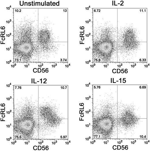 Figure 3. FcRL6 can be down-regulated on NK cells by activating cytokines. Activation of NK cells with IL-2 or IL-15 leads to up-regulation of the surface marker CD56 and down-regulation of FcRL6. The differentiation of resting NK cells from CD56dim “cytotoxic” to CD56bright “regulatory” NK-cell phenotypes with IL-12 stimulation also leads to down-regulation of FcRL6.