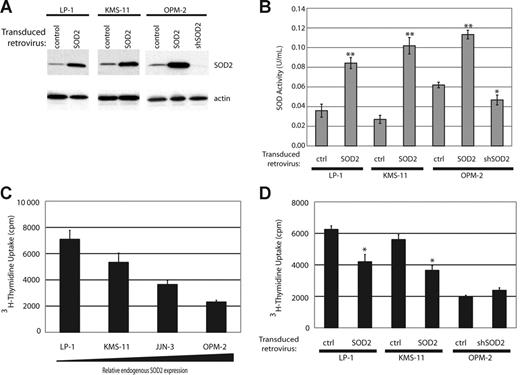 Figure 3. Generation of cell lines with altered SOD2 expression and enzymatic activity results in changes of proliferation rates. (A) Western blot showing SOD2 expression in cell lines with SOD2 overexpression (LP-1, KMS-11, and OPM-2) and in OPM-2 infected with an shRNA directed against SOD2. Actin serves as the loading control. (B) Measurement of SOD enzymatic activity in the engineered cell lines. The experiment was preformed in triplicate with standard error shown. *P < .05; **P < .005 as determined by Student t test. (C) Proliferation rates of the myeloma cell lines were measured by tritiated thymidine incorporation. There is an inverse correlation with proliferation rates and SOD2 expression. The experiment was preformed in triplicate and standard error is shown. (D) Proliferation rates in the altered cell lines were determined by thymidine incorporation. The experiment was preformed in triplicate and standard error is shown. *P < .005.