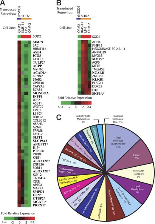 Figure 6. Gene expression changes in cell lines with manipulated SOD2 levels. SOD2 levels in myeloma cell lines were manipulated by a retroviral transduction of either SOD2 or a shRNA directed against SOD2 (shSOD2). Gene expression changes are shown by the color bar where red represents an increase, green represents a decrease, and black represents no change. Gray indicates missing data. (A) All named genes showing a decrease (≤ 2-fold in 2 of 3 experiments) in expression following transduction with SOD2 and a corresponding increase in OPM-2 transduced with shSOD2 are shown. Boldfaced gene names were identified in publicly available MM patient gene expression databases (GSE755; Gene Expression Omnibus database21). *Genes that have a similar pattern of expression in the MM patient databases. (B) All named genes showing an increase (≥ 2-fold in 2 of 3 experiments) in expression following transduction with SOD2 and a corresponding decrease in OPM-2 transduced with shSOD2. Boldfaced gene names were identified in publicly available MM patient gene expression databases (GSE755; Gene Expression Omnibus database21). *Genes that have a similar pattern of expression in the MM patient databases. (C) The top 20 functional categories of SOD2-regulated genes identified using Ingenuity's Pathway Assist software.