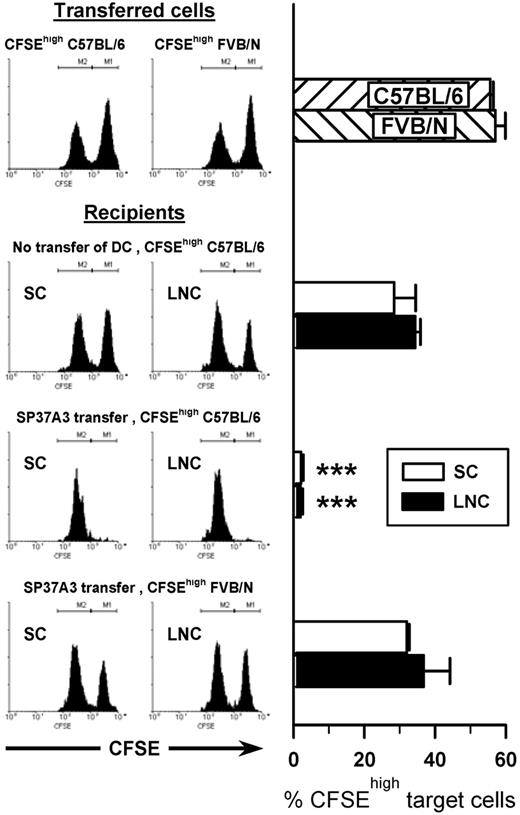 Figure 2. SP37A3 cells stimulate alloantigen-specific cytotoxic T cells in vivo. Mature SP37A3 cells (1 × 106) were transferred intravenously into BALB/c mice. After 7 days, equal numbers (1 × 107) of syngeneic CFSElow-labeled BALB/c spleen cells and allogeneic CFSEhigh-labeled spleen cells from C57BL/6 and FVB/N mice, respectively, were mixed and injected intravenously into recipient mice or naive mice as control. In vivo cytotoxicity against the allogeneic target cells was assessed after 12 hours. Spleen cells (SCs) and lymph node cells (LNCs) were collected, and the proportion of CFSEhigh target cells as a percentage of total CFSE+ cells was determined by flow cytometry. Histograms show representative data from individual mice; bars represent mean ± SEM of 6 mice per group, obtained in 2 independent experiments. ***P < .001 compared with naive mice receiving CFSEhigh C57BL/6 target cells.