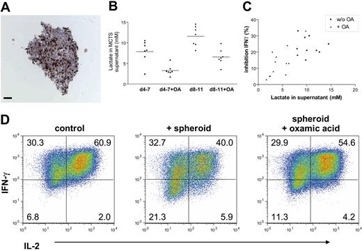 Figure 6. Tumor spheroid–infiltrating CTLs exhibit a diminished ability for cytokine production, and oxamic acid is able to prevent this suppression. (A) MCTSs were generated in the presence or absence of oxamic acid from exponentially growing MelIm tumor cells. After 4 to 5 days, medium was replaced by a suspension containing 0.4 × 106/mL CTLs. Infiltrating CTLs were visualized in 5-μm paraffin sections by staining for the T-cell marker CD3 (bar = 100 μm). (B) Day-4 to day-11 MCTSs were generated in the presence or absence of 60 mM oxamic acid (OA) and supernatants analyzed for lactate content. Horizontal bars represent the mean values. (C) Reduction of IFN-γ–positive CTLs relative to control cells without MCTSs against the lactate content of the MCTS coculture. (D) After 24 hours of coculture, day-5 MCTSs were disintegrated, and cells were stained intracellularly for IL-2 and IFN-γ. CTLs cultured in medium without MCTSs were used as control. Shown are representative data of 3 independent experiments.