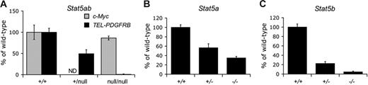 Figure 1. Stat5 is required in primary murine hematopoietic cells for TEL-PDGFRB–mediated growth. (A) Cytokine-independent colony formation of 14.5-dpc fetal liver cells expressing either TEL-PDGFRB or c-Myc. Data shown are the mean percentage of colonies formed by Stat5abnull/null and Stat5ab+/null cells relative to Stat5ab+/+ cells for a given experimental condition. Error bars represent standard deviation. TPNeo induced formation of 195 ± 18 Stat5ab+/+, 194 ± 19 Stat5ab+/null, and 3 ± 1 Stat5abnull/null G418-resistant colonies per 105 transduced fetal liver cells. Positive control c-Myc induced formation of 159 ± 8 colonies per 105 Stat5abnull/null fetal liver cells plated and 184 ± 31 colonies in Stat5ab+/+ cells. Cells transduced with negative control MSCV-Neo did not form colonies in the absence of cytokines (data not shown). Transduction efficiency of Stat5ab+/+ and Stat5abnull/null fetal liver cells with MSCV-Myc was 14% and 12% for 2 independent experiments. For TPNeo and MSCV-Neo, transduction efficiency of Stat5ab+/+ cells averaged 25% ± 15% and Stat5abnull/null cells averaged 45% ± 16% for 7 independent transductions of each genotype. (B) TEL-PDGFRB induced cytokine independent colony formation in Stat5a+/+ (469 ± 26 colonies per 105 transduced cells), Stat5a+/− (266 ± 40), and Stat5a−/− (163 ± 16) whole bone marrow cells. Data shown are the mean percentage of colonies formed by Stat5a−/− and Stat5a+/− cells relative to Stat5a+/+ cells for a given experimental condition. Error bars represent standard deviation. Transduction efficiency of Stat5a−/− cells averaged 98% ± 17% and 93% ± 18% for Stat5a+/+ bone marrow cells in 3 independent transductions. (C) TEL-PDGFRB induced cytokine-independent colony formation in Stat5b+/+ (602 ± 39 colonies per 105 transduced cells), Stat5b+/− (135 ± 25), and Stat5b−/− (27 ± 11) whole bone marrow cells. Data shown are the mean percentage of colonies formed by Stat5b−/− and Stat5b+/− cells relative to Stat5b+/+ cells for a given experimental condition. Error bars represent standard deviation. Transduction efficiency of Stat5b−/− cells was 99% and 81% for Stat5b+/+ bone marrow cells. (TPNeo indicates TEL-PDGFRB-PGK Neo; MSCV-Myc, MSCV-c-Myc ires GFP; and ND, not done.)