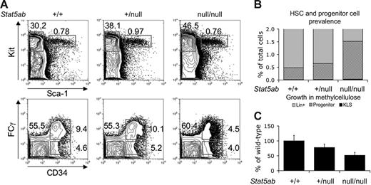 Figure 2. Hematopoietic stem and progenitor-cell populations are preserved in fetal livers of Stat5abnull/null mice. (A) Flow cytometric analysis of Stat5abnull/null, Stat5ab+/null, and Stat5ab+/+ 14.5-dpc fetal livers for early hematopoietic cells. Top panel shows Kit and Sca-1 expression of lineage-negative fetal liver cells. Bottom panel shows CMP (FcγRloCD34+), MEP (FcγRloCD34−), and GMP (FcγRhiCD34+) populations, with percentage of Kit+Lin−Sca− falling into each progenitor population as indicated. (B) Proportion of cells that is identified as either KLS (black), progenitors (CMPs, MEPs, or GMPs, diagonal stripes), or lineage-committed (gray) hematopoietic cells within Stat5ab+/+, Stat5ab+/null, and Stat5abnull/null 14.5-dpc fetal livers as determined by flow cytometric detection of cell-surface markers. (C) Cytokine-dependent colony formation of vector-transduced 14.5-dpc fetal liver cells when cells were plated in the presence of SCF, IL3, IL6, and EPO. Data shown are the mean percentage of colonies formed by Stat5abnull/null and Stat5ab+/null cells relative to Stat5ab+/+ cells. Error bars represent standard deviation. Vector control Stat5ab+/+ cells generated 688 ± 18 G418-resistant colonies per 105 transduced fetal liver cells, while Stat5ab+/null and Stat5abnull/null cells formed 535 ± 12 and 355 ± 10 colonies. TPNeo-transduced Stat5ab+/+, Stat5ab+/null, and Stat5abnull/null cells formed 337 ± 33, 559 ± 43, and 321 ± 30 G418 colonies, respectively. Transduction efficiency of Stat5ab+/+ cells averaged 25% ± 15% and Stat5abnull/null cells averaged 45% ± 16% for 7 independent transductions of each genotype. (KLS indicates Kit+Sca+Lin−; CMP, common myeloid progenitor; MEP, megakaryocyte-erythrocyte progenitor; and GMP, granulocyte-monocyte progenitor.)