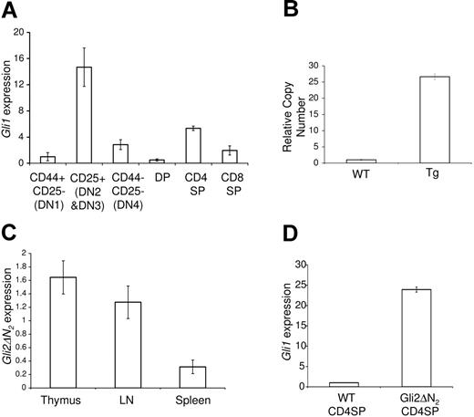 Figure 1. Expression of Gli1 and Gli2\#916;N2 in WT and Gli2\#916;N2 transgenic mice. (A) Hh activation status, shown by quantitative RT-PCR analysis of gli1 mRNA in FACS-sorted populations of the adult murine thymus. (B) Quantitative PCR of genomic Gli2\#916;N2, showing high copy number of the Gli2\#916;N2 transgene. (C) Relative Gli2\#916;N2 expression, by quantitative RT-PCR analysis, in thymus, lymph node, and spleen (D) and up-regulation of Gli1 transcription in Gli2\#916;N2 transgenic CD4SP thymocytes. Error bars show standard deviation (SD). Data are representative of at least 3 experiments.