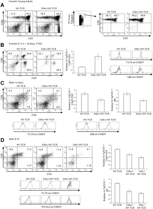 Figure 6. Altered TCR repertoire selection in Shh mutant thymus. (A) Thymus phenotype of 4-week-old Shh+/\#8722; HY-TCR female mice. CD4 and CD8 profiles of HY-TCR and Shh+/\#8722; HY-TCR littermate mice (left dot plots). Mean thymus sizes were 3.7 × 107 for HY-TCR and 4.8 × 107 for Shh+/\#8722; HY-TCR. CD4 and CD8 profiles gated on DbSmcy-positive cells in the HY-TCR and Shh+/\#8722; HY-TCR thymus (right dot plots). (B) Thymus phenotype of E17.5 Shh\#8722;/\#8722; HY-TCR female FTOC cultured for 10 days. CD4 and CD8 profiles of HY-TCR and Shh\#8722;/\#8722; HY-TCR littermate FTOC. Bar chart shows the relative percentage of transgenic (Tg) TCR+ CD8bright SP cells for HY-TCR (n = 3) and Shh\#8722;/\#8722; HY-TCR (n = 3); P = .027. The histograms show V\#946;8 and T3.70 (transgenic TCR\#945; chain) staining on CD8SP cells. (C) Thymus phenotype of 12-day-old Shh+/\#8722; HY-TCR male. CD4 and CD8 profiles of HY-TCR and Shh+/\#8722; HY-TCR littermates. Mean thymus sizes were 2.4 × 107 for HY-TCR and 2.1 × 107 for Shh+/\#8722; HY-TCR. Bar charts show the relative percentage of transgenic (Tg) TCR+ CD8bright SP or DP cells for HY-TCR (n = 3) and Shh+/\#8722; HY-TCR (n = 3); P = .019. The histograms show V\#946;8 and T3.70 expression on CD8SP cells. (D) Thymus phenotype of E19 Shh\#8722;/\#8722; HY-TCR male. CD4 and CD8 profiles of HY-TCR, Shh+/\#8722; HY-TCR, and Shh\#8722;/\#8722; HY-TCR littermates. Mean thymus sizes were 2.5 × 105 for HY-TCR, 2.4 × 105 for Shh+/\#8722; HY-TCR, and 1.1 × 104 for Shh\#8722;/\#8722; HY-TCR. Bar charts show the relative percentage of Tg TCR+ CD8bright SP or DP cells for HY-TCR (n = 4), Shh+/\#8722; HY-TCR (n = 4, P = .034), and Shh\#8722;/\#8722; HY-TCR (n = 3, P = .018). The histograms show DbSmcy and T3.70 staining on CD8SP cells. Numbers in dot plots indicate the percentage of cells falling in the quadrant. Error bars show SE. Data are representative of at least 3 experiments.