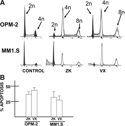 Figure 2. Induction of tetraploidy and apoptosis in MM cells. (A) Cell cycle analysis (propidium iodide staining) was performed in OPM-2 and MM1.S MM cell lines after 48-hour exposure to vehicle alone (control), ZK (500 nM), or VX-680 (100 nM). Induction of tetraploidy is shown. (B) Similarly treated OPM-2 and MM1.S cells were assayed at 72 hours for apoptosis by flow cytometric analysis of activated caspase 3 expression. Results are mean percent apoptosis ± SD of 3 separate experiments (control cells treated with vehicle alone showed a mean of 16% positive staining with the caspase 3 antibody).